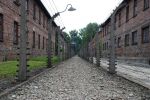 031 Auschwitz.jpg